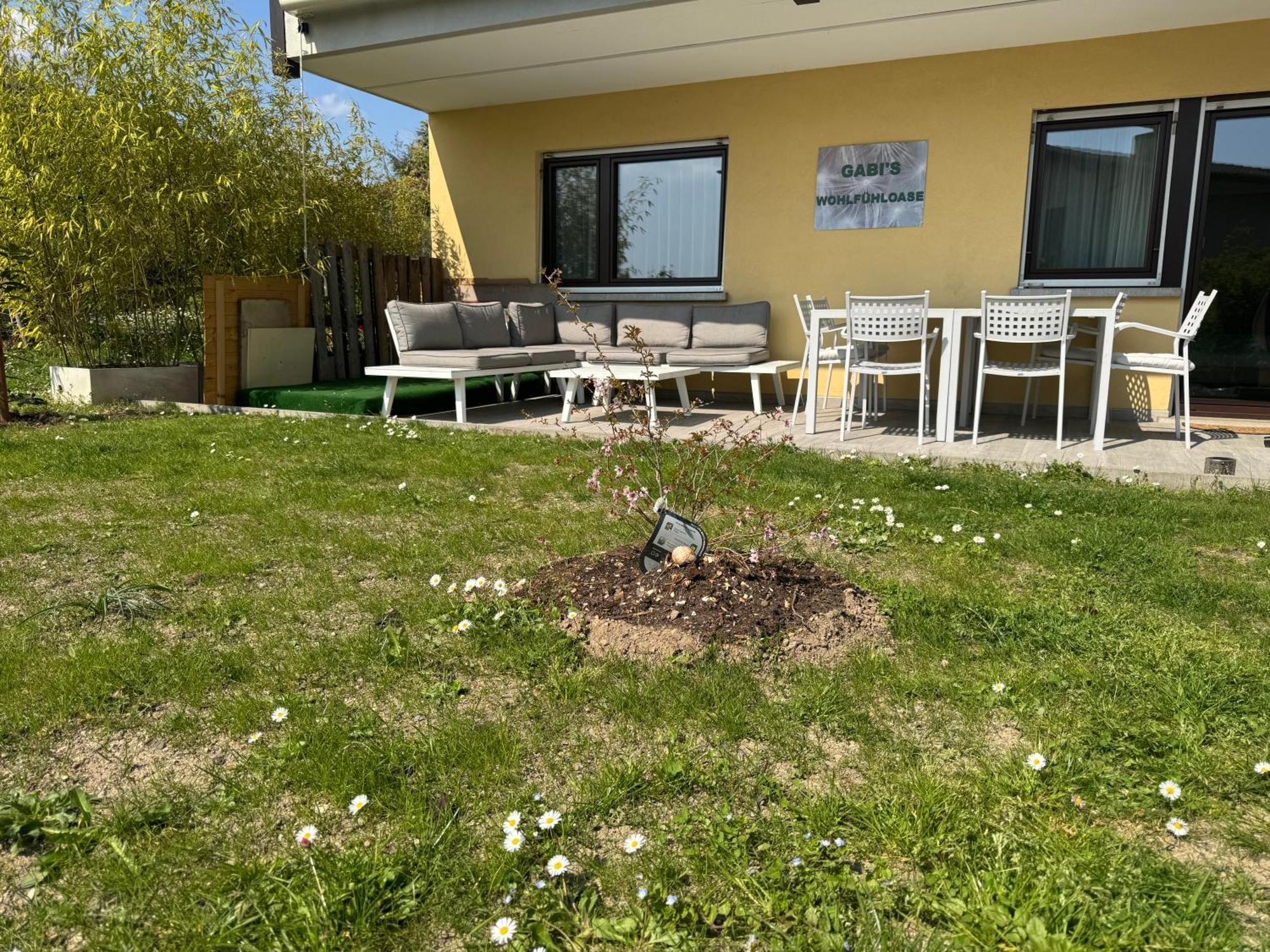 Gabi'S Wolfuehloase Apartment Balerna ภายนอก รูปภาพ